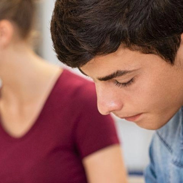 Impactos da educação empreende